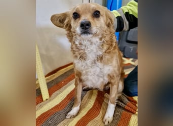 Liebe, kleine Schmusemaus Maya