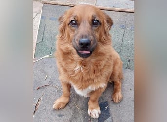 Mini Mäuschen Pusica