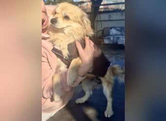 32cm Mini Männlein Janni