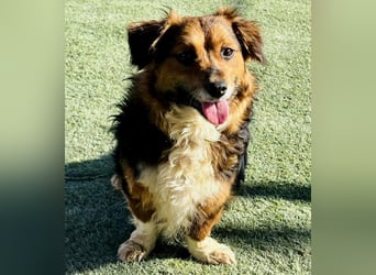 Mini Knutschkugel Kessie