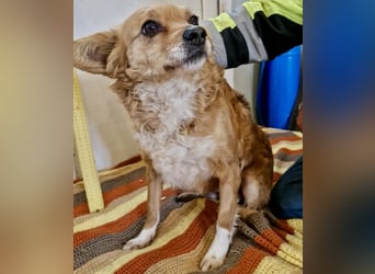 Liebe, kleine Schmusemaus Maya