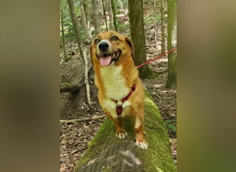 Kuschelmaus Tapsy sucht ihr Glück