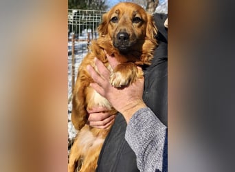 Mini Mäuschen Pusica