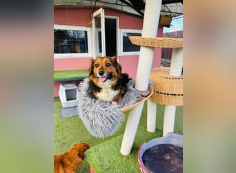 Mini Knutschkugel Kessie