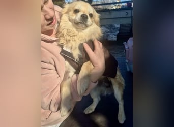 32cm Mini Männlein Janni