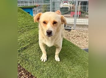 Theo, kleine Knutschkugel sucht seine Familie