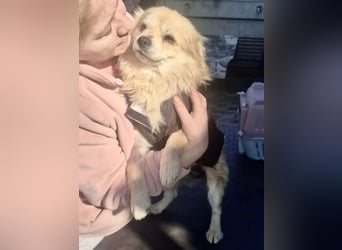 32cm Mini Männlein Janni