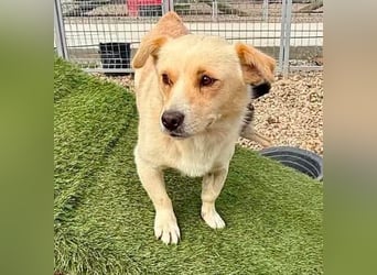 Theo, kleine Knutschkugel sucht seine Familie