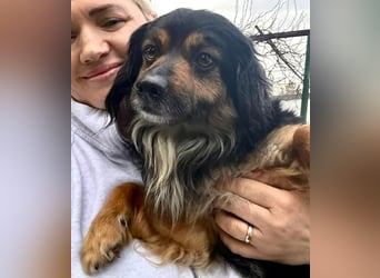 Zuckersüßes Mini Männlein Bailey