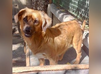 Mini Mäuschen Pusica