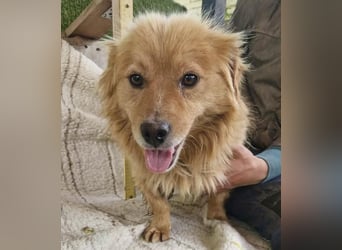 Socke – fröhlicher kleiner Grinsebär sucht sein Glück
