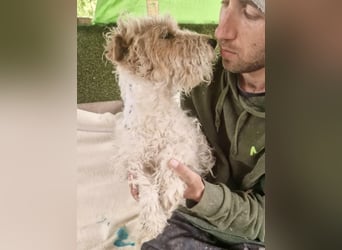 Abby versteht ihre kleine Welt nicht mehr