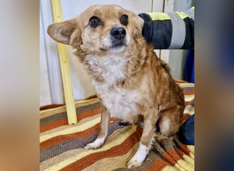 Liebe, kleine Schmusemaus Maya