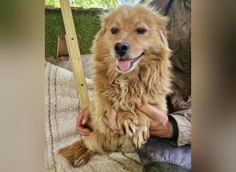 Socke – fröhlicher kleiner Grinsebär sucht sein Glück