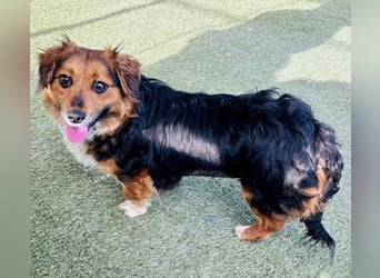 Mini Knutschkugel Kessie