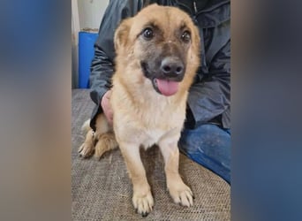 Zaubermaus AVA sucht ihr Zuhause