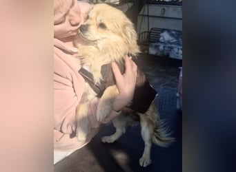 32cm Mini Männlein Janni