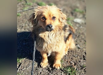 Toni wurde aus einer Gruppe gerettet, nun möchte er Rumänien verlassen