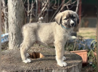 Nils ist pure Freude