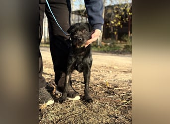 Leandra - Süße Maus will endlich ankommen!