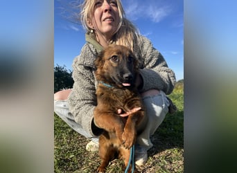 Kleine Maus Luca sucht ihre Herzensmenschen