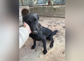 Majka sucht ihre Herzensmenschen