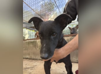 Majka sucht ihre Herzensmenschen