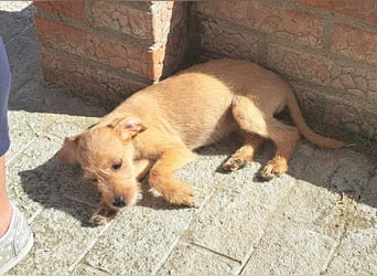 Kendy sucht ihre Herzensmenschen