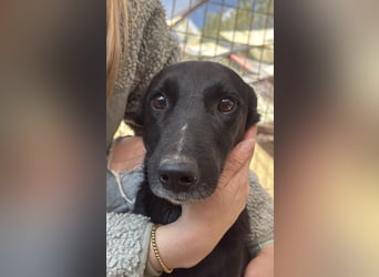 Majka sucht ihre Herzensmenschen