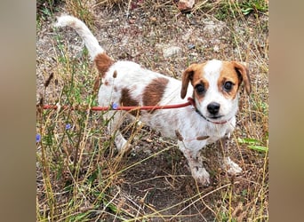 Die kleine Lilou kann bald in Hessen besucht werden