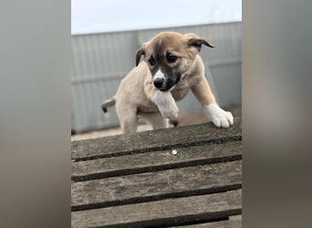 Neela wartet auf ihr Happy End