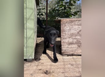 Majka sucht ihre Herzensmenschen