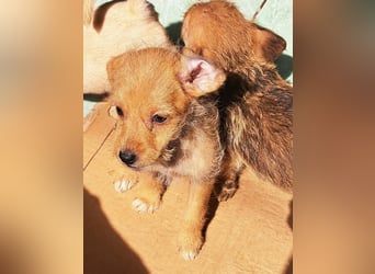 Kendy sucht ihre Herzensmenschen