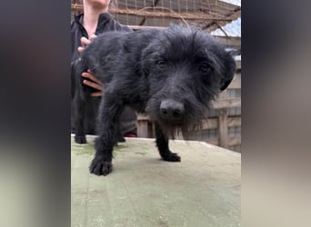 Jenga möchte die Welt mit dir entdecken