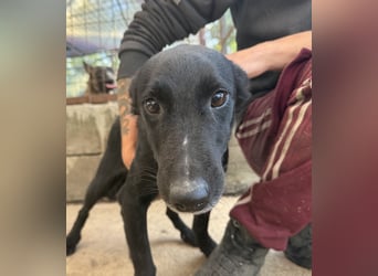 Majka sucht ihre Herzensmenschen