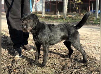 Leandra - Süße Maus will endlich ankommen!