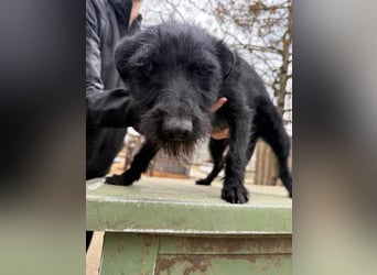 Jenga möchte die Welt mit dir entdecken