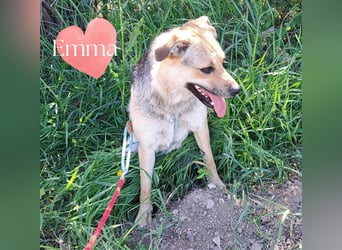 Emma sucht ihr Glück