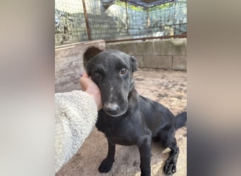 Majka sucht ihre Herzensmenschen