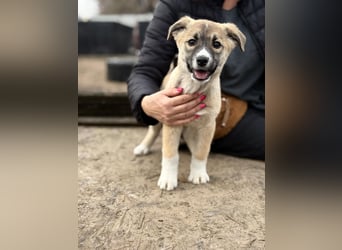 Neela wartet auf ihr Happy End