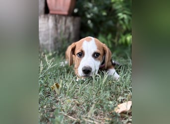 Olivi sucht ihre erste eigene Familie