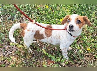 Die kleine Lilou kann bald in Hessen besucht werden