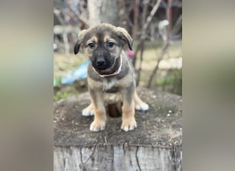 Nalani möchte einfach dazugehören