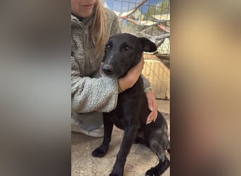 Majka sucht ihre Herzensmenschen