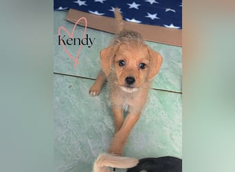 Kendy sucht ihre Herzensmenschen