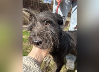 Lidi - sie hat es so verdient ein Zuhause zu bekommen