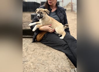 Neela wartet auf ihr Happy End