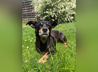 Mimi wartet in Köln