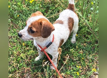 Die kleine Lilou kann bald in Hessen besucht werden