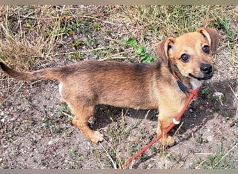 Kleine Lumi kann bald in Hessen besucht werden